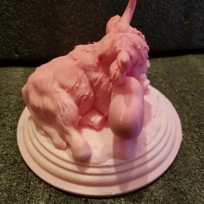 Shakaworld3d Bò Highland Cow 5
