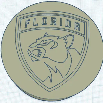 Puck khúc côn cầu Florida Panthers