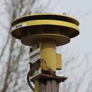 ACA Screamer S-2 tỉ lệ 1/4 (early access) - Image 2