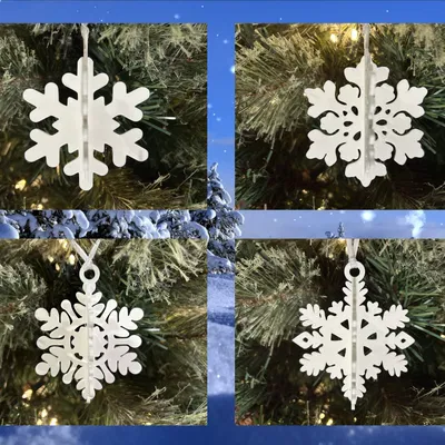Đồ trang trí bông tuyết (Snowflake Ornaments)