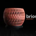 briosi • planter - Thumbnail 1