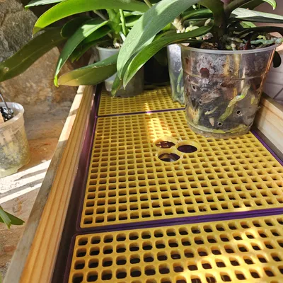 Khay Tăng Độ Ẩm (đặc biệt cho lan)