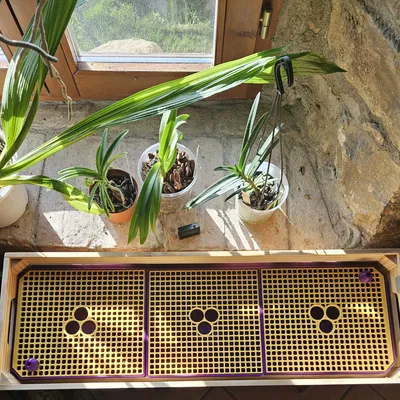 Khay Tăng Độ Ẩm (đặc biệt cho lan)