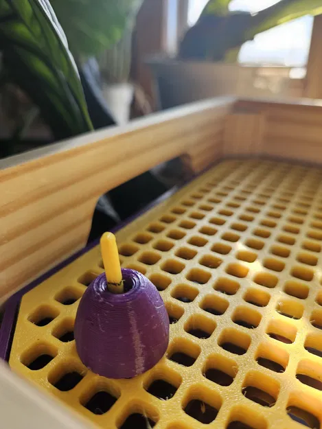 Khay Tăng Độ Ẩm (đặc biệt cho lan) - Image 5