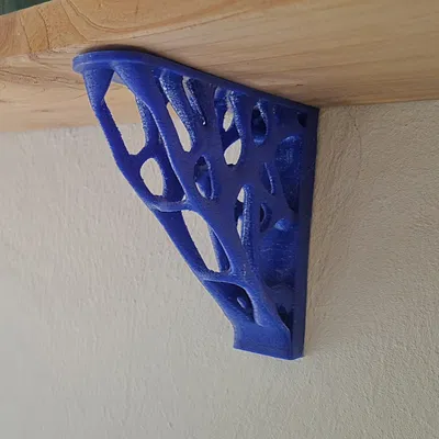 Giá đỡ kệ Voronoi (bắt ẩn) - tối ưu topology