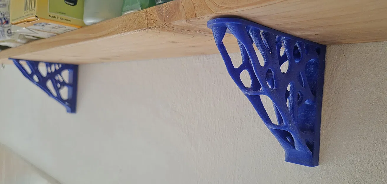 Giá đỡ kệ Voronoi (bắt ẩn) - tối ưu topology - Image 2