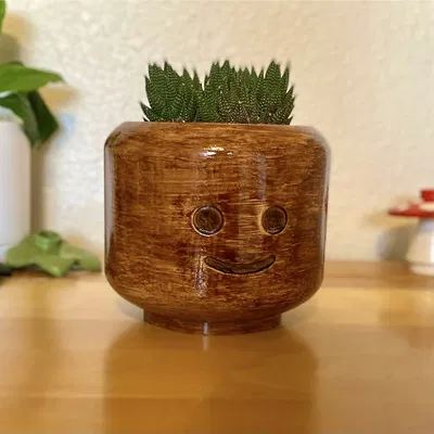 Chậu đầu Lego Minifigure - Chống tưới quá tay (Overwatering Protective)