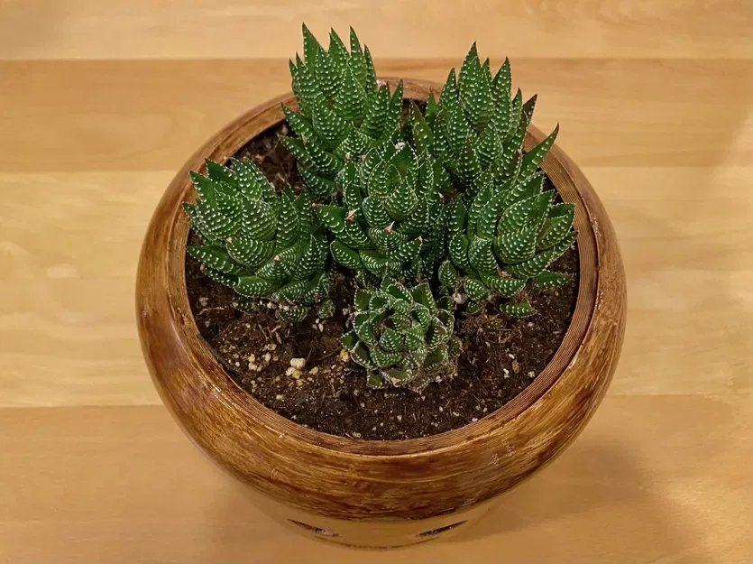 Chậu đầu Lego Minifigure - Chống tưới quá tay (Overwatering Protective) - Image 2