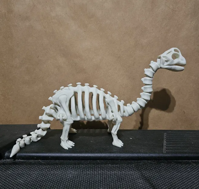 Bộ xương khủng long khớp nối (articulated) số 7 - Image 1