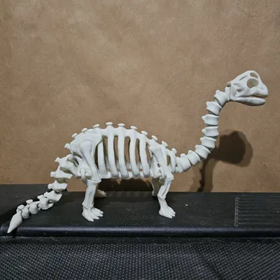 Bộ xương khủng long khớp nối (articulated) số 7