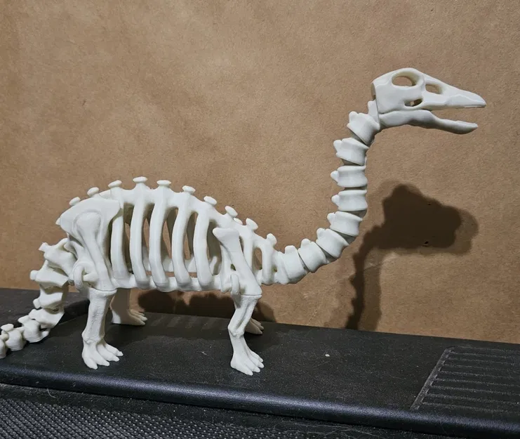 Bộ xương khủng long khớp nối (articulated) số 7 - Image 2