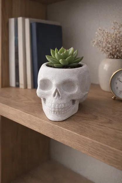 Chậu trồng cây hình đầu lâu (Skull Planter) - Image 1