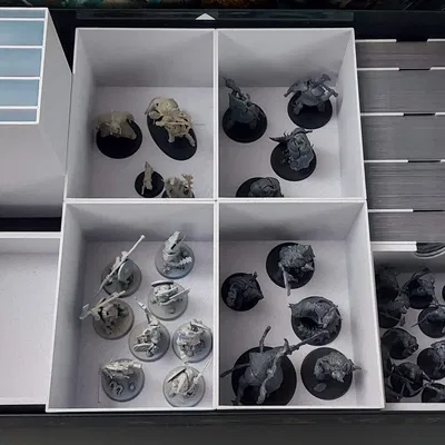 Khay Insert Lưu Trữ tương thích Warhammer Quest: Darkwater