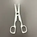 Nut_cracker + Tweezer (Nhíp + Dụng cụ bể hạt) - Thumbnail 2