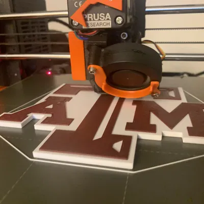 Nam châm logo Texas A&M (captured magnets)