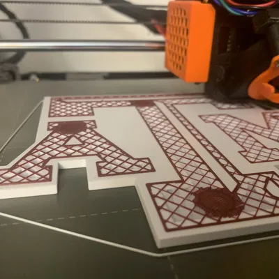 Nam châm logo Texas A&M (captured magnets)