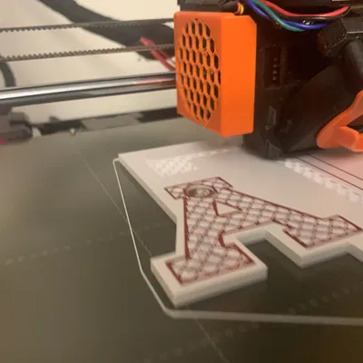 Nam châm logo Texas A&M (captured magnets)