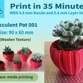 Chậu Succulent 001 – In Nhanh, Chi Tiết Cực Đẹp - Thumbnail 1
