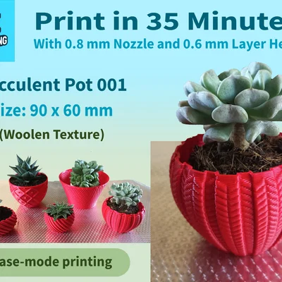Chậu Succulent 001 – In Nhanh, Chi Tiết Cực Đẹp