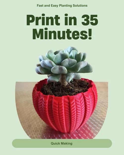 Chậu Succulent 001 – In Nhanh, Chi Tiết Cực Đẹp - Image 2
