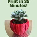 Chậu Succulent 001 – In Nhanh, Chi Tiết Cực Đẹp - Thumbnail 2