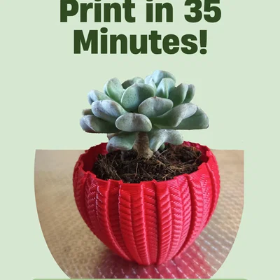 Chậu Succulent 001 – In Nhanh, Chi Tiết Cực Đẹp