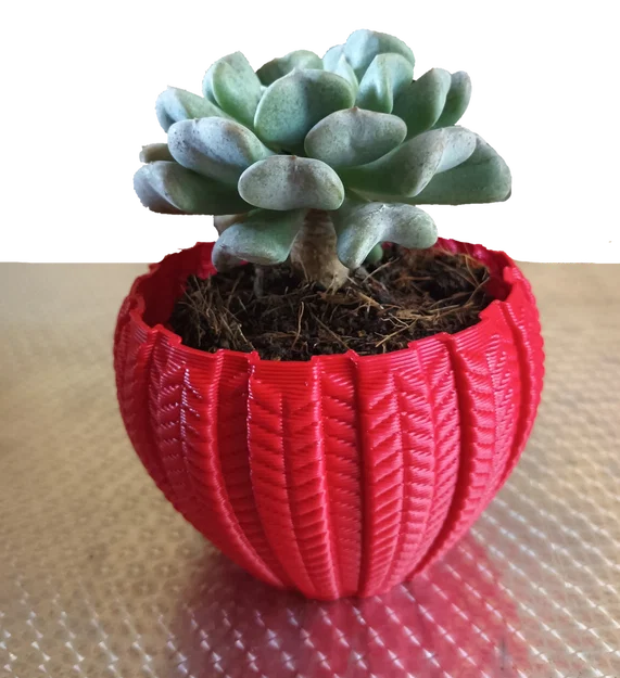 Chậu Succulent 001 – In Nhanh, Chi Tiết Cực Đẹp - Image 4