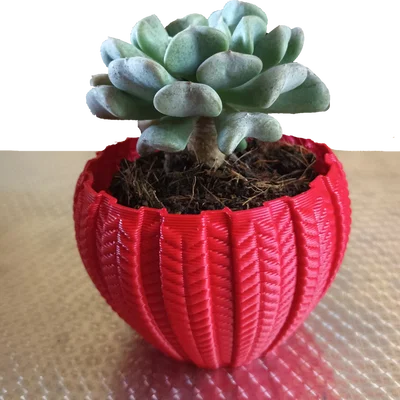Chậu Succulent 001 – In Nhanh, Chi Tiết Cực Đẹp