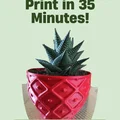 Chậu Succulent Pot 002 – In Nhanh, Chi Tiết Cực Đẹp - Thumbnail 2