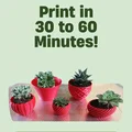 Chậu Succulent Pot 002 – In Nhanh, Chi Tiết Cực Đẹp - Thumbnail 3