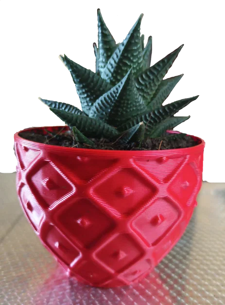 Chậu Succulent Pot 002 – In Nhanh, Chi Tiết Cực Đẹp - Image 4