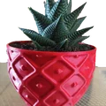 Chậu Succulent Pot 002 – In Nhanh, Chi Tiết Cực Đẹp - Thumbnail 4