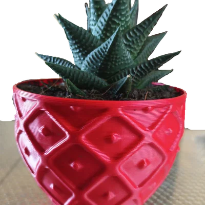 Chậu Succulent Pot 002 – In Nhanh, Chi Tiết Cực Đẹp
