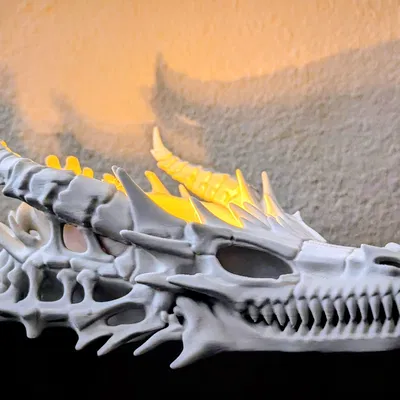 Bát Đựng Đồ & Đế Nến Hộp Sọ Rồng