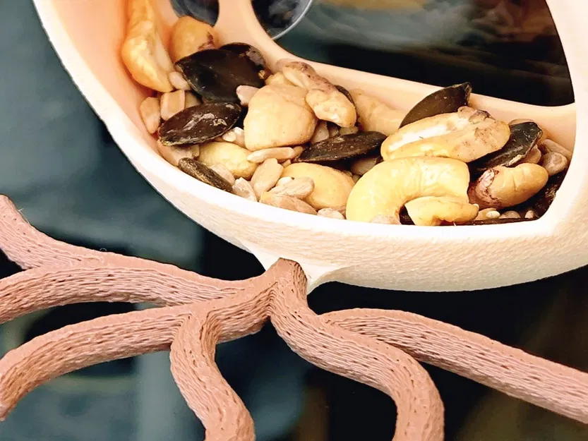 Bird Feeder - Máng ăn cho chim modular, nhiều kiểu lắp - Image 2