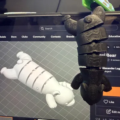 Flexi Bear (Gấu dẻo linh hoạt)