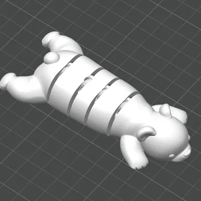 Flexi Bear (Gấu dẻo linh hoạt)