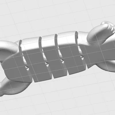 Flexi Bear (Gấu dẻo linh hoạt)