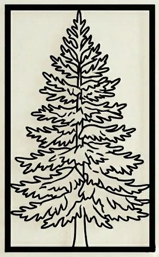 Bộ 3 Cây Rừng | Oak, Birch & Pine | Trang Trí Tường Thiên Nhiên - Image 2