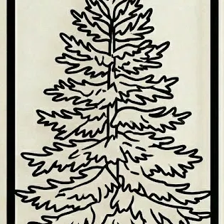 Bộ 3 Cây Rừng | Oak, Birch & Pine | Trang Trí Tường Thiên Nhiên