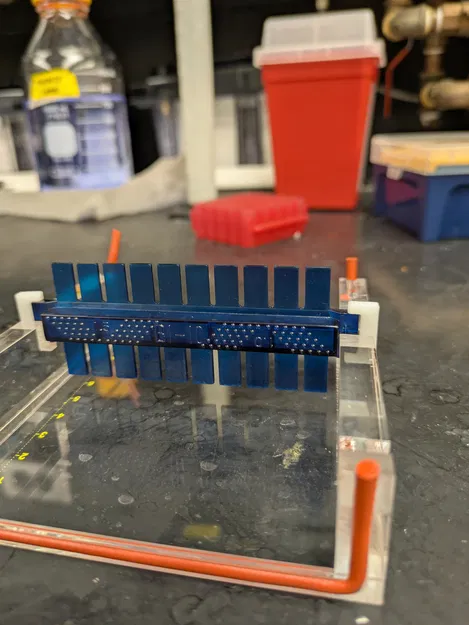 Miếng chêm lược gel electrophoresis (Gel electrophoresis comb shim) - Image 1