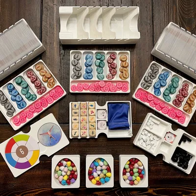 Khay Insert/Organizer Wingspan Nesting Box – Chứa đủ expansion hiện có, chừa chỗ thêm