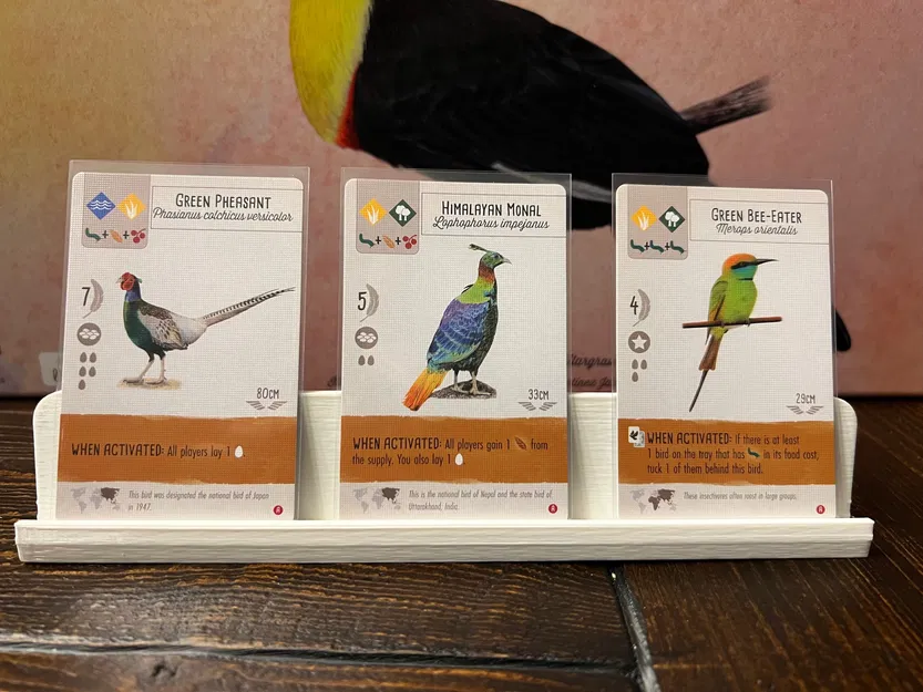 Khay Insert/Organizer Wingspan Nesting Box – Chứa đủ expansion hiện có, chừa chỗ thêm - Image 4