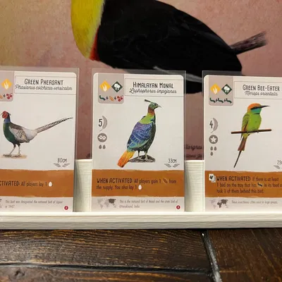 Khay Insert/Organizer Wingspan Nesting Box – Chứa đủ expansion hiện có, chừa chỗ thêm