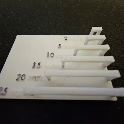 Bài test Bridging (Bridging test)