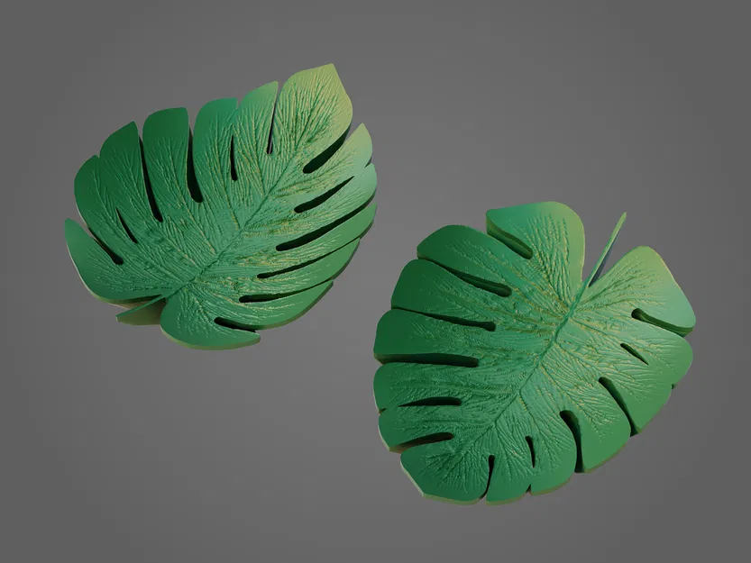 Dĩa - lá monstera - Image 4