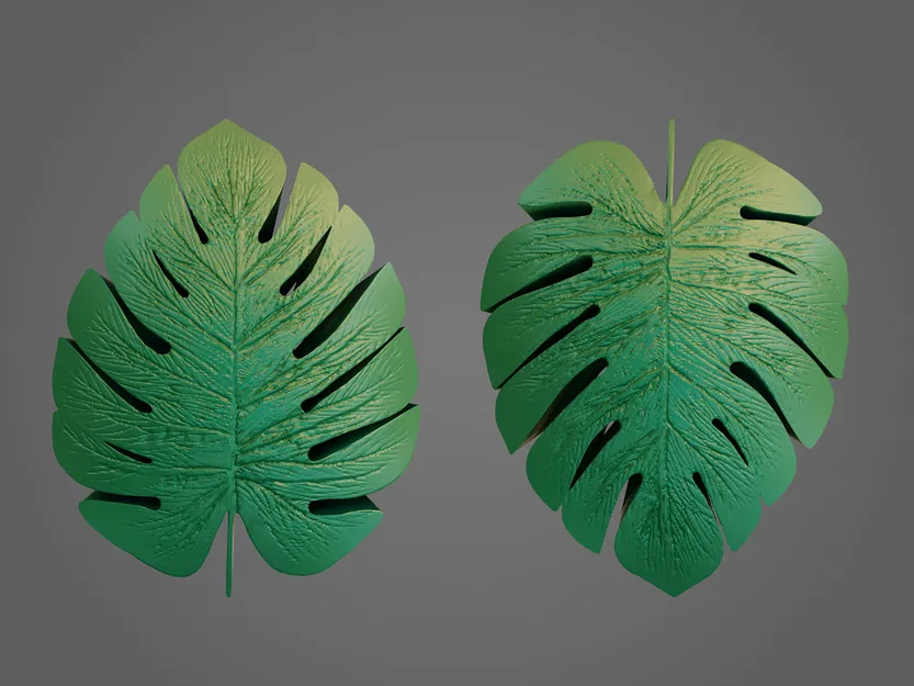 Dĩa - lá monstera - Image 5