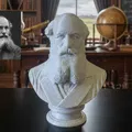 James Clerk Maxwell – Tượng bán thân - Thumbnail 1