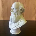 James Clerk Maxwell – Tượng bán thân - Thumbnail 3