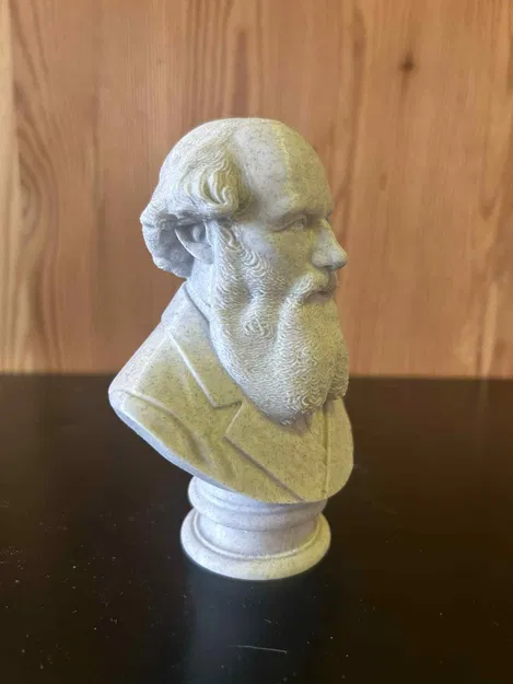 James Clerk Maxwell – Tượng bán thân - Image 4